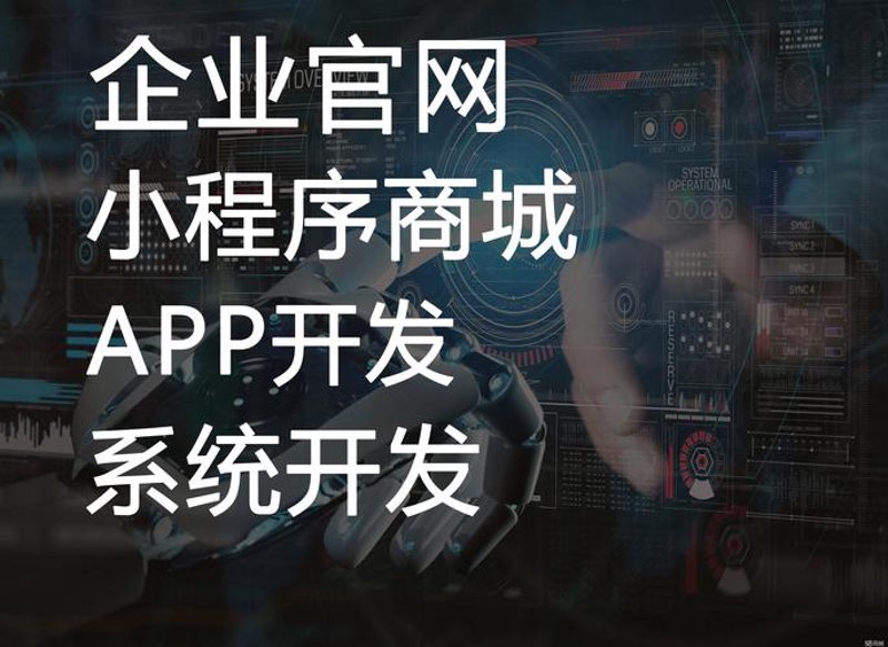 探索系统集成公司的魅力与挑战